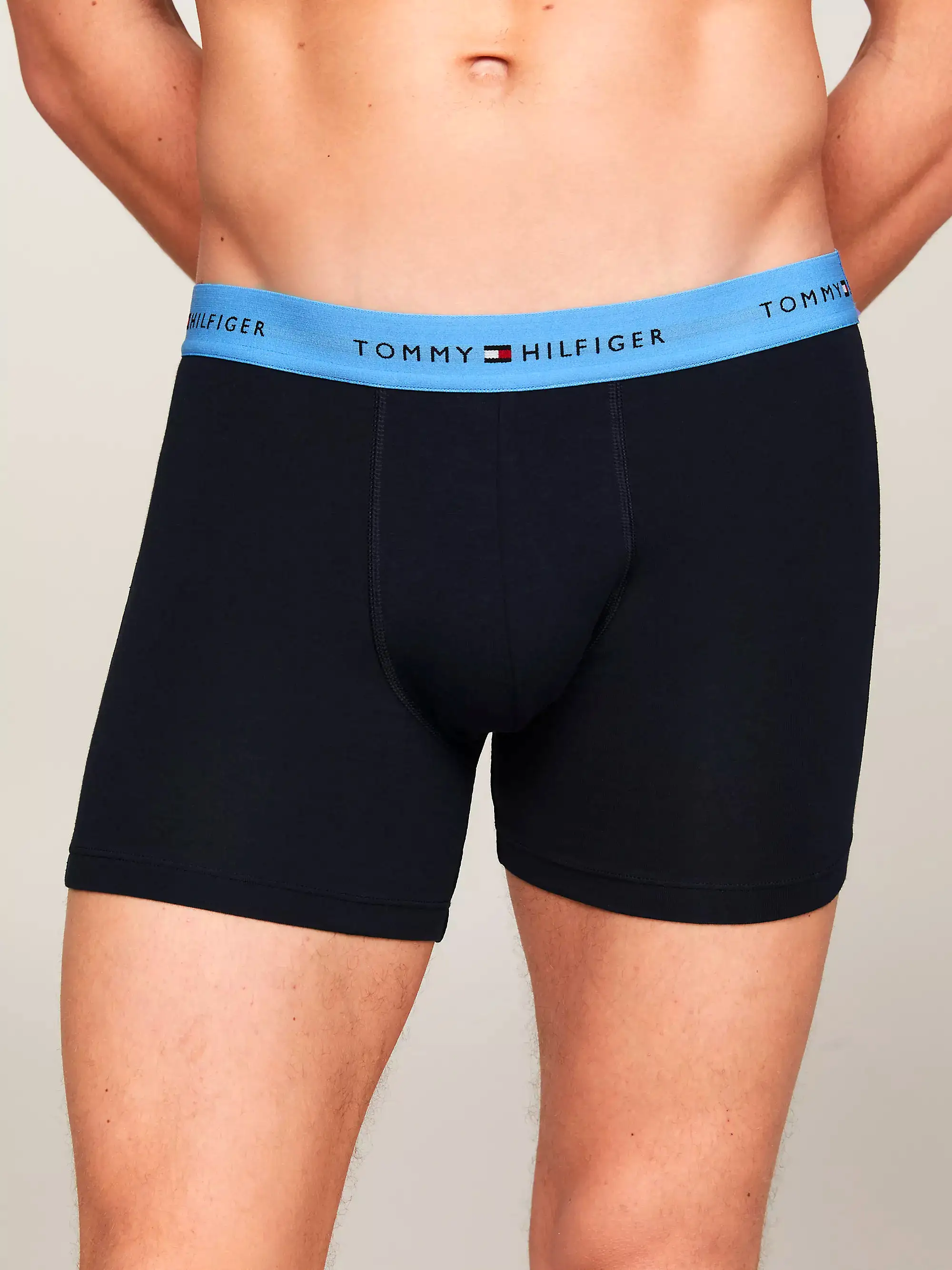 Tommy Hilfiger Mens Boxer Briefs (3-Pack)