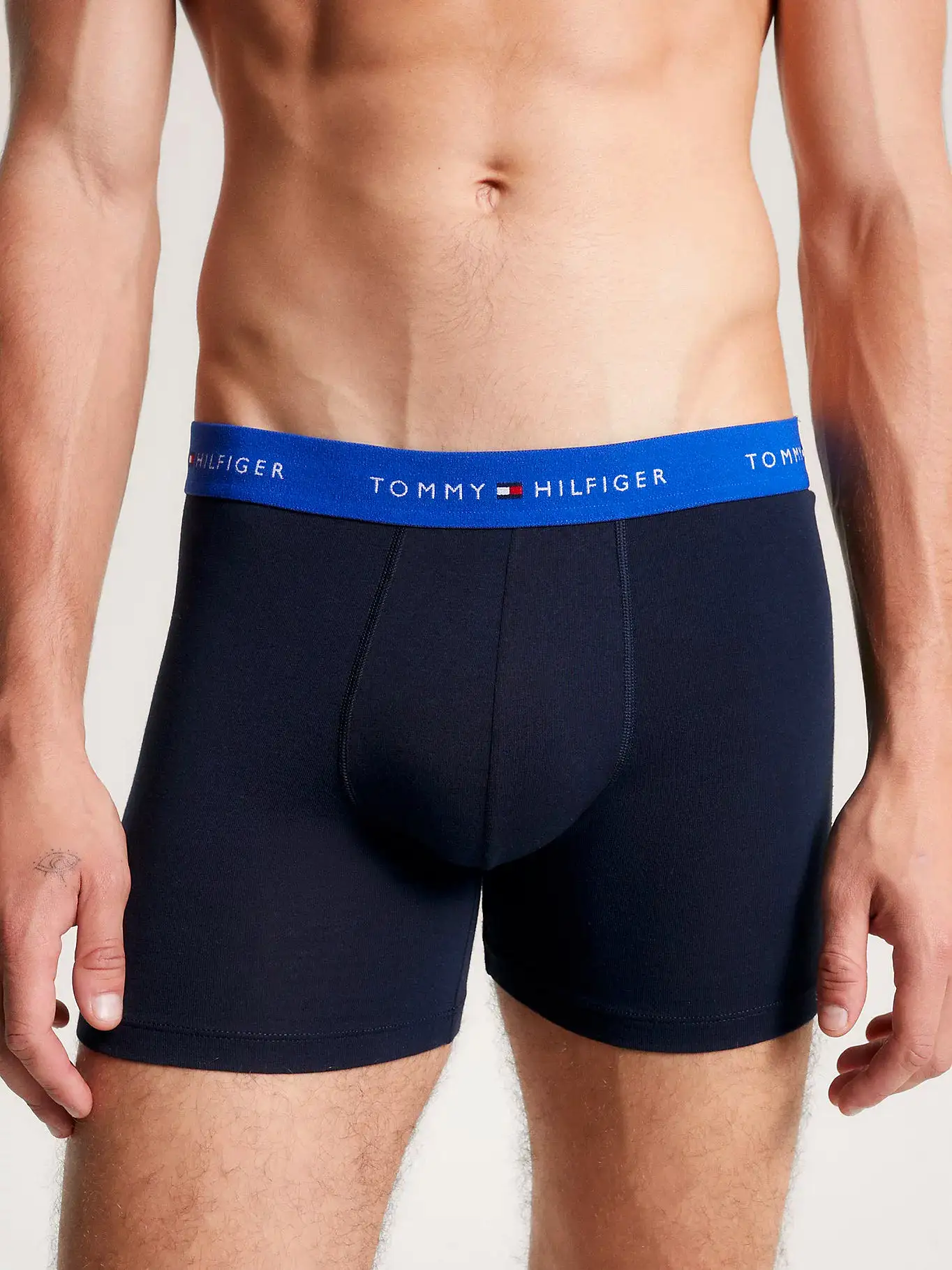 Tommy Hilfiger Mens Boxer Briefs (3-Pack)